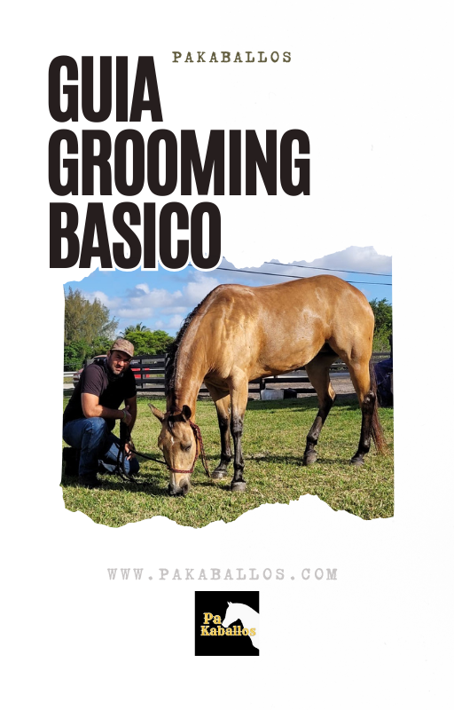 Ebook Guia Grooming de caballos