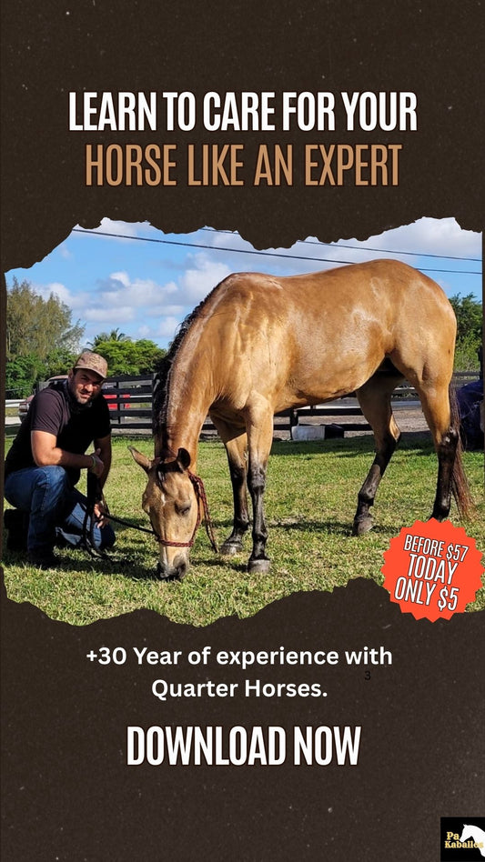 Ebook Guia Grooming de caballos